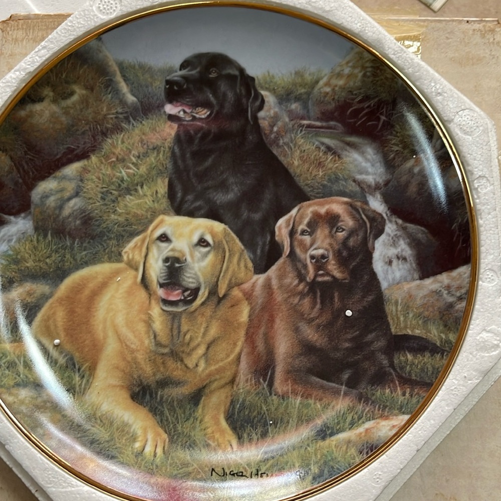 Franklin mint Labrador retriever plate